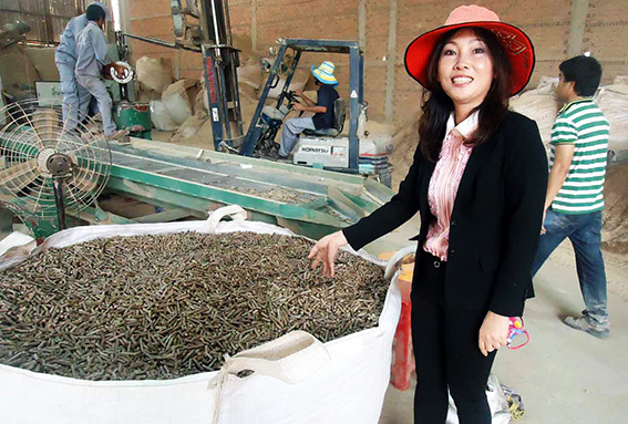 Sản lượng xuất khẩu lên đến hàng chục triệu tấn hằng năm